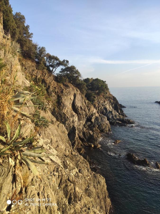 Via Verdi 5, Gli Affreschi Monterosso al Mare Exteriér fotografie
